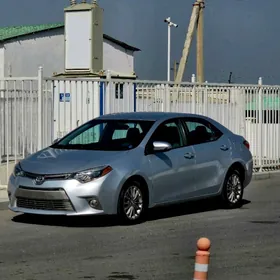 Toyota Corolla 2014