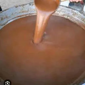 Semeni  nahal tohum baglar