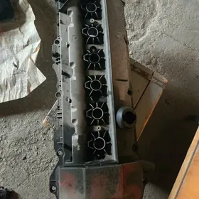 klapan krishka gosha