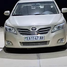 okuzkelle 2.4 diwitel