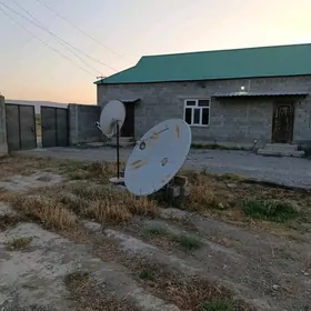 аренда жай (бяхерден ярджы)