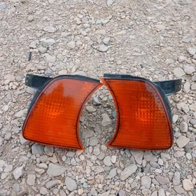 Gyzyl Sary paworotnik