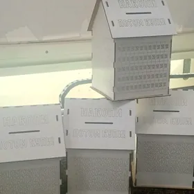 kapilka pul salynyan