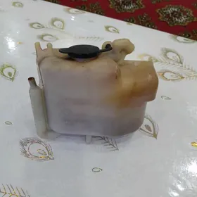 BABYCKA RADIATOR BACOK