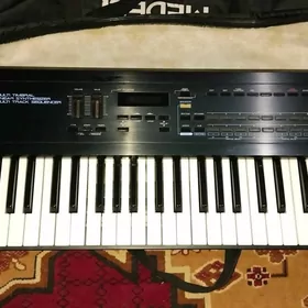 Roland  d 20