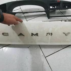 samsyk kemri zapcast