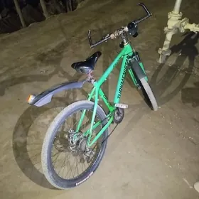 Turkmenistan welosped