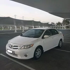 Toyota Corolla 2010