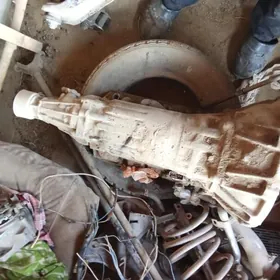 2.5 mark mator karopga