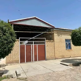 Satlyk Taze plan jay howly