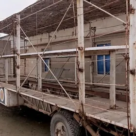 40 yesiklik balary pirsep