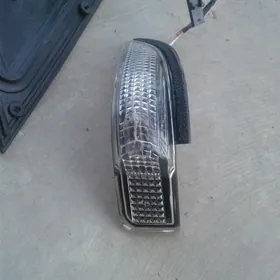 carollan̈ pawarotnigi