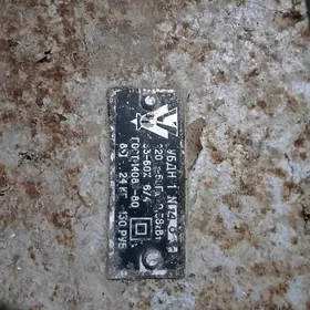 Agaç kesýän ýonýan Stanok