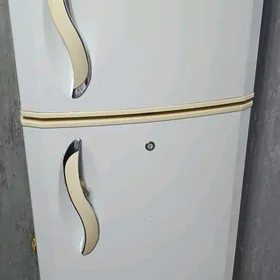 Holadilnik LG EXPRESS COOL