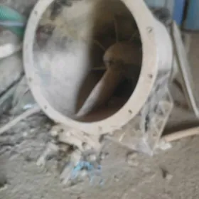 nasosyñ kirilcatgasy