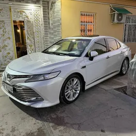 Toyota Camry 2019