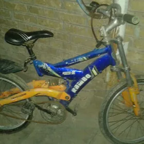 sportiwni welik tigir