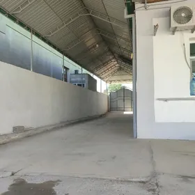 Änew magtymguly plan jay