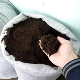 Biogomus Биогомус