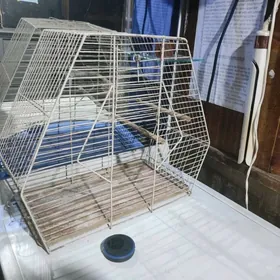 клетка/ kletka