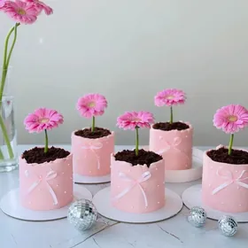 Tort Zakaza/Торты