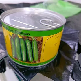 хыяр тохумы