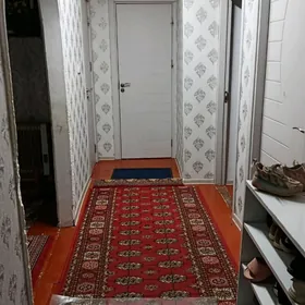 śatlyk jaý 5 mikrayon