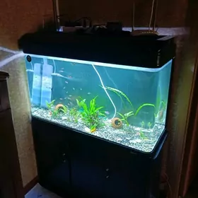 заводской аквариум akvarium