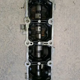 raspertval kampesator