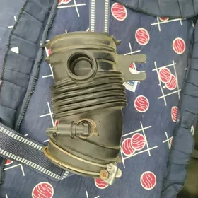 siyenna vozduh gofra