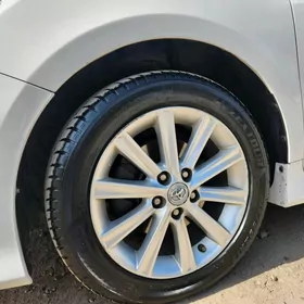 Arginal kemry teker 17