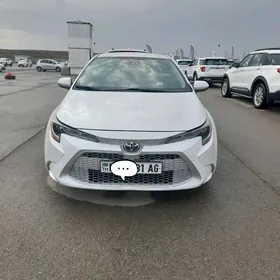 Toyota Corolla 2022