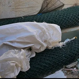 Зелёная сетка рябица