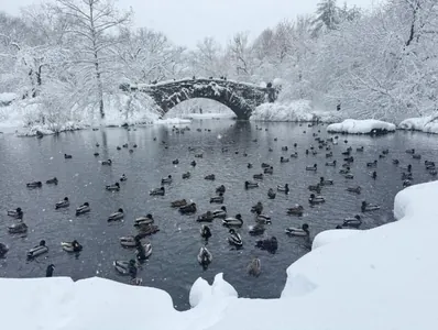 Восточное побережье США утонуло в снегу. Главные кадры заснеженного Нью-Йорка