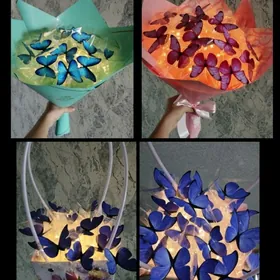 Букеты из бабочек