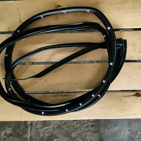 Gapy rezin Duty Camry