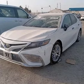 Toyota Camry 2022