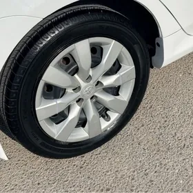 08-16 carolla kalpak