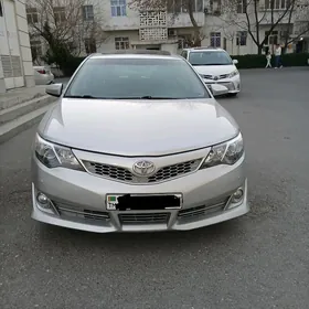 Водитель (Woditel)