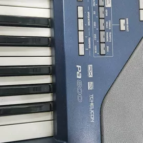 Pa 800 korg