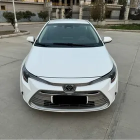 Toyota Corolla 2024
