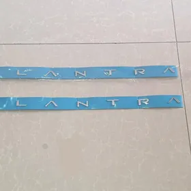 "ELANTRA " 11-25 gapy ýazgy