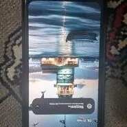 Reeder S19 Max 128.4.