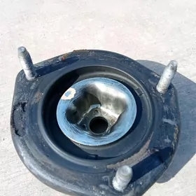 apora okuz palta aziyada