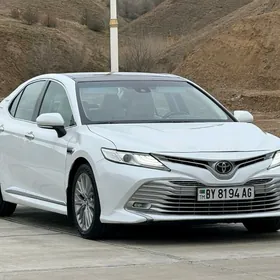 Toyota Camry 2019