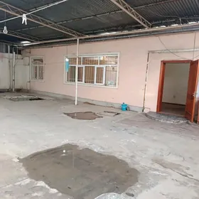 Дом цирк АК Алтын