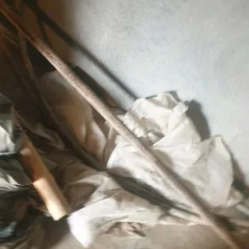 tostosteny turba galyn