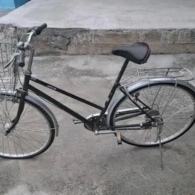 Tigir arginal ýapoşka 27 lik