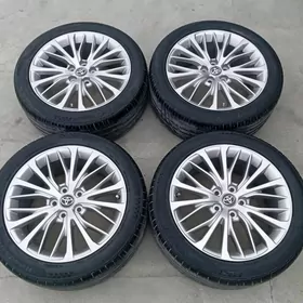 Kemri Dysga pakryşga 18