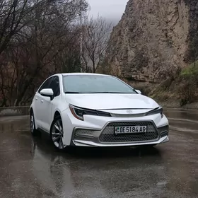 Toyota Corolla 2020